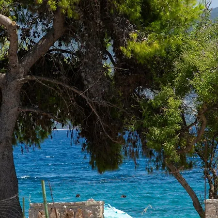 Blue Horizon Seaside * Nikiana
